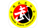 中国武术电脑版段首LOGO