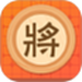 象棋大师