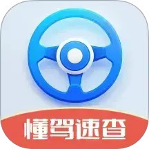 懂驾速查