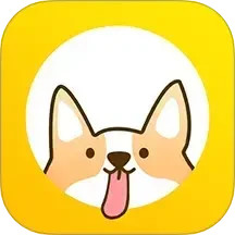 小打卡