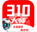 310大师电脑版段首LOGO