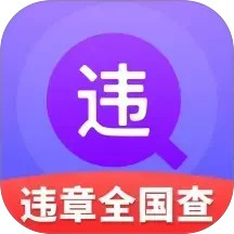 违章全国查电脑版