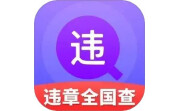 违章全国查电脑版段首LOGO