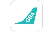 大湾区航空电脑版段首LOGO