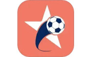 任意ball电脑版段首LOGO
