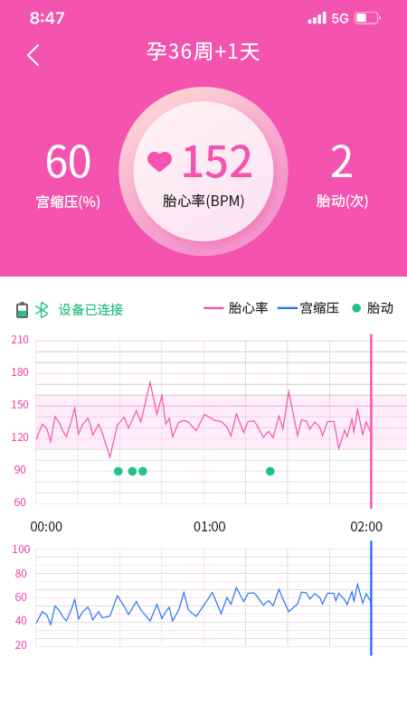 乖乖葆孕妇电脑版截图