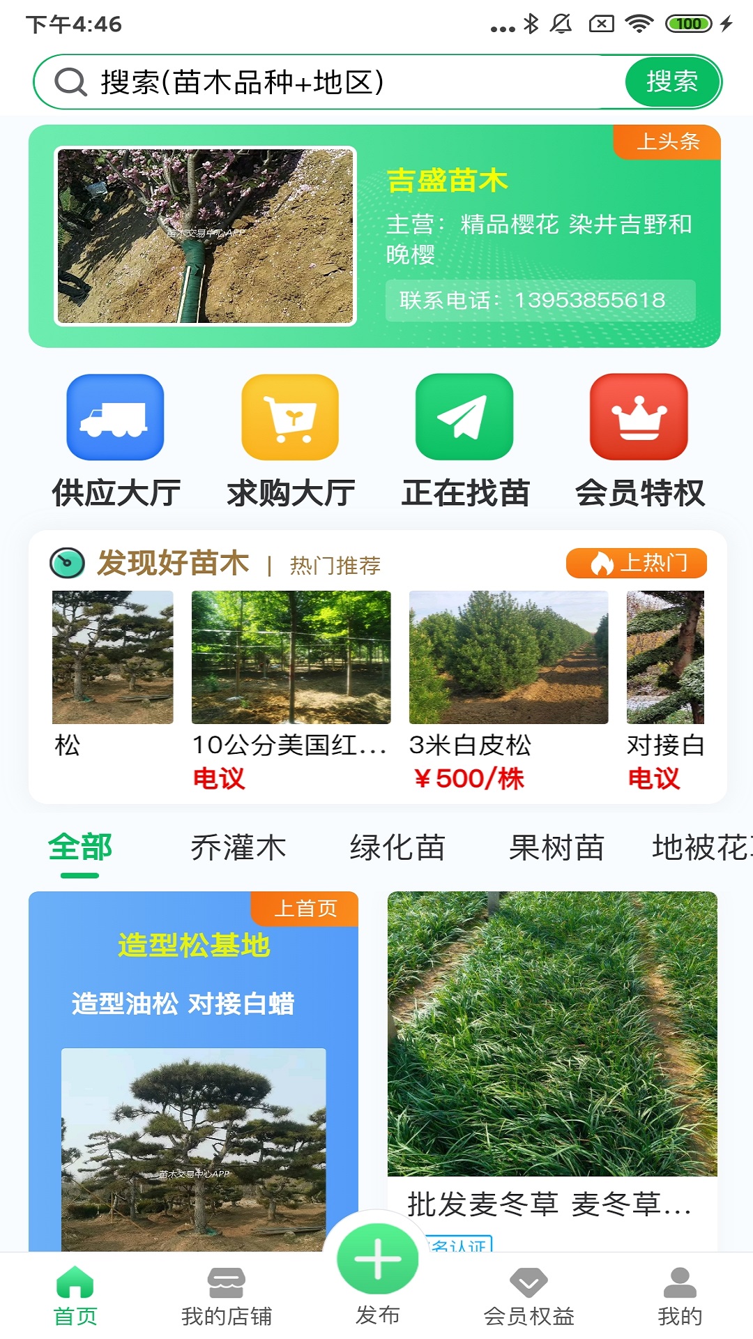 苗木交易中心