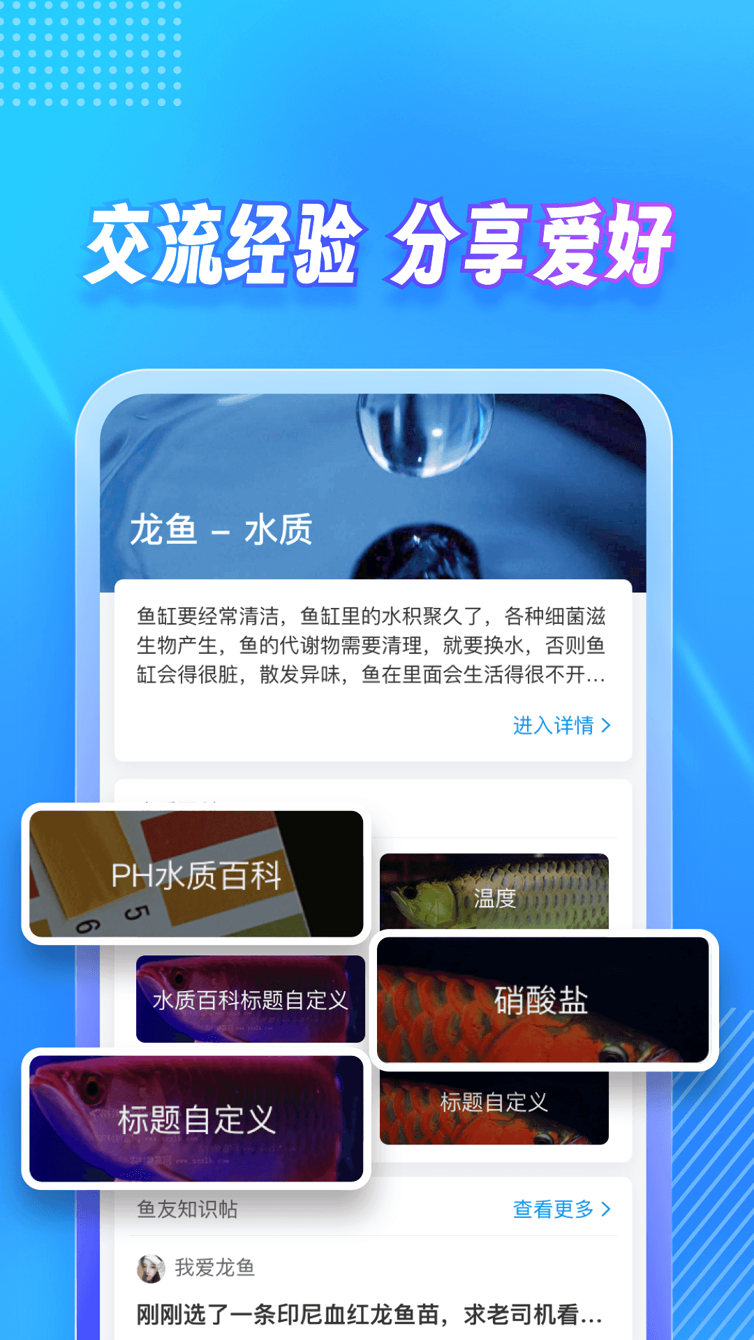 龙巅鱼邻