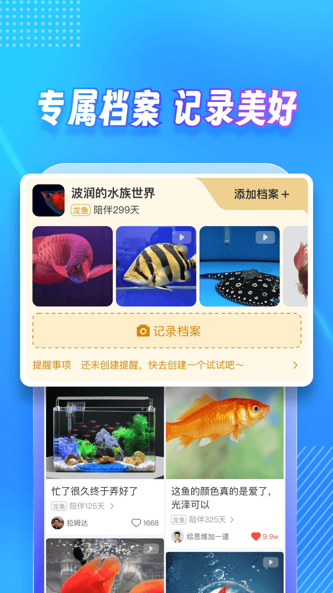 龙巅鱼邻