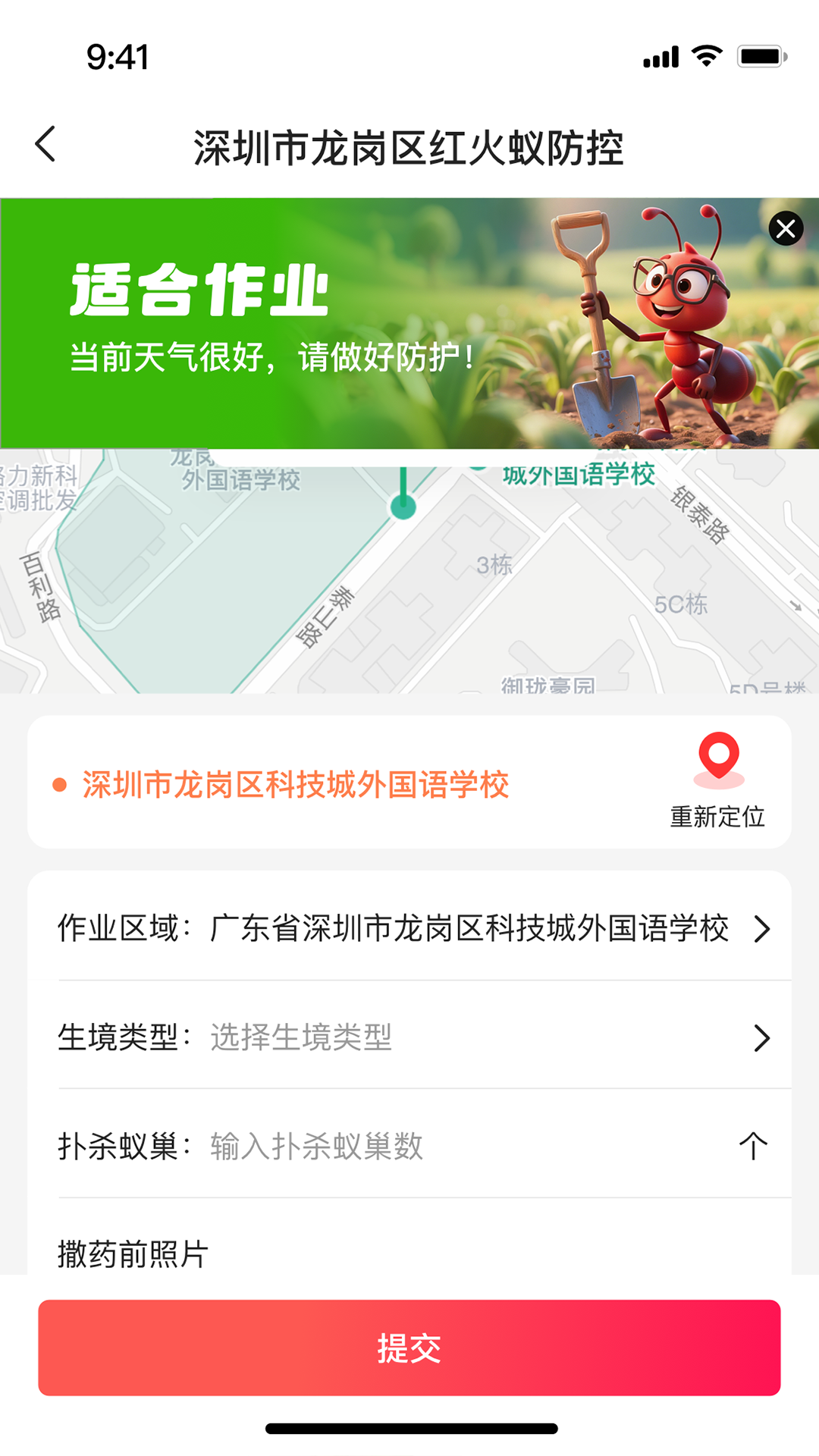 红火蚁