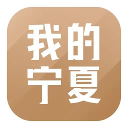 我的宁夏电脑版