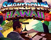 夏威夷劫案四项修改器风灵月影版