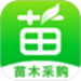 597苗木网