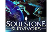 灵魂石幸存者二十三项修改器LOGO