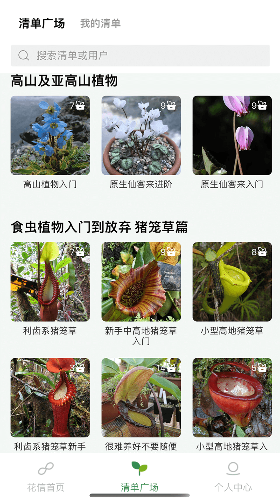 花信