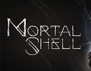 致命躯壳十三项修改器风灵月影版