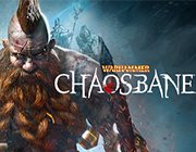 战锤混沌祸根十三项修改器