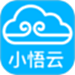 小悟云