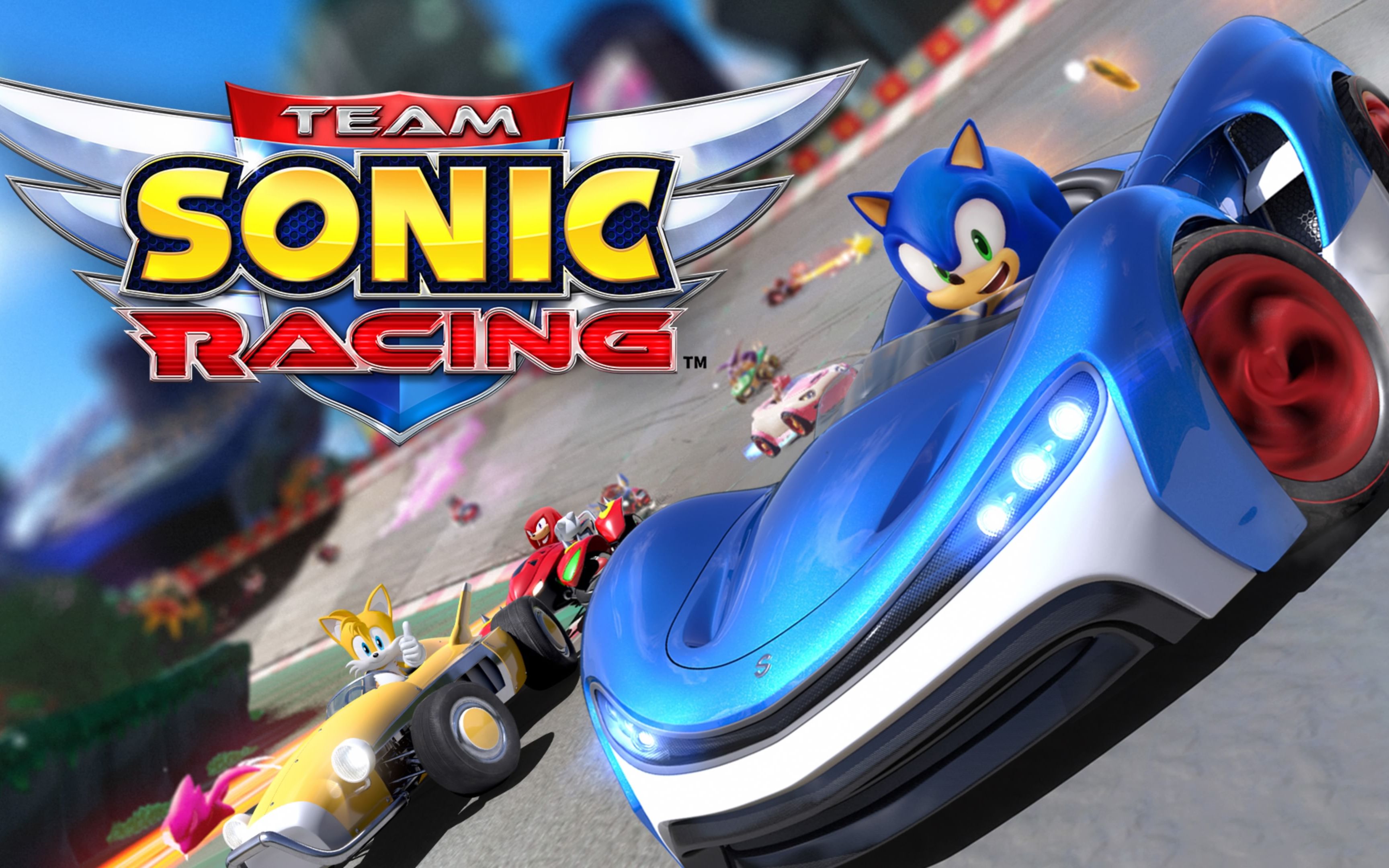 团队索尼克赛车三项修改器截图