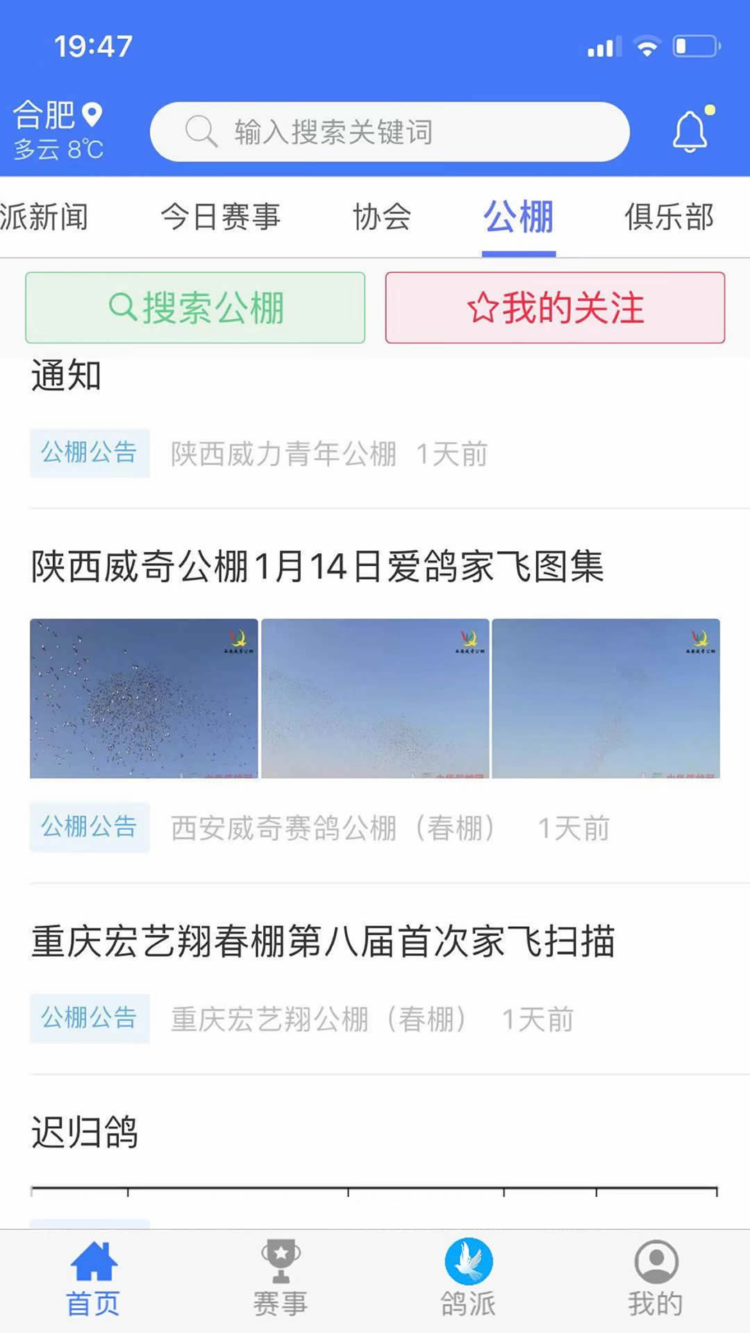 鸽派
