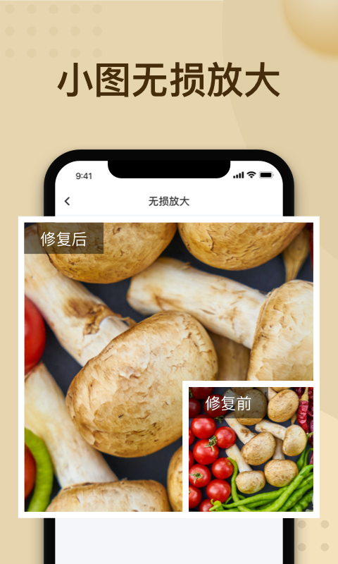 照片修复