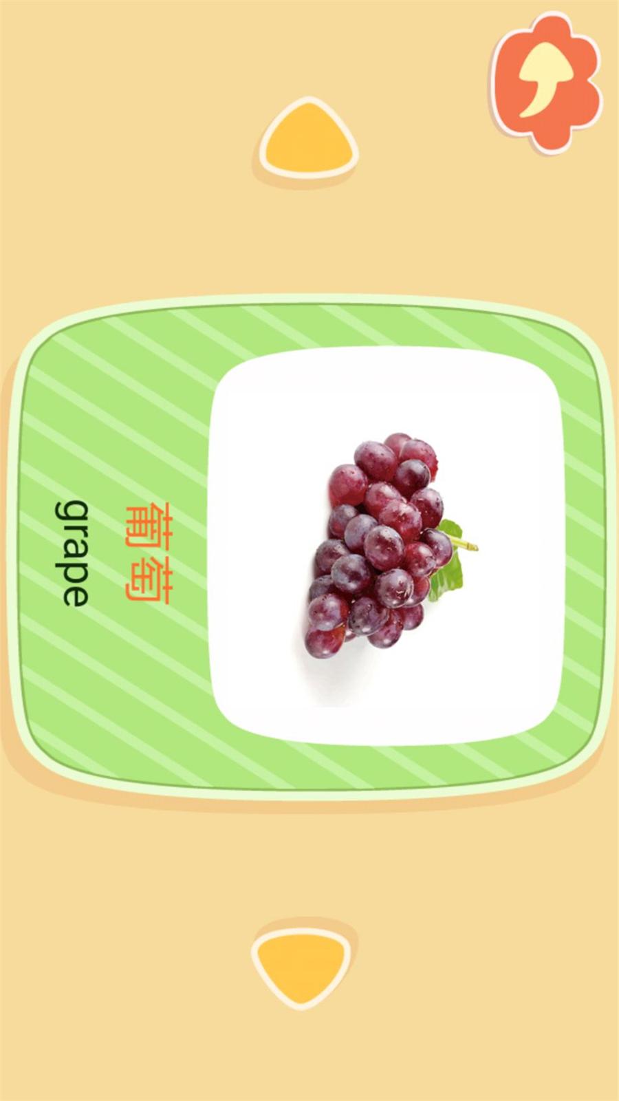 亲亲熊识字