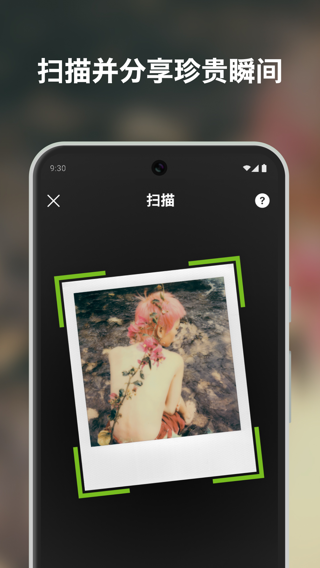 宝丽来