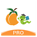 杏林学堂Pro