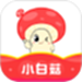 小白菇