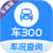 车300专业版