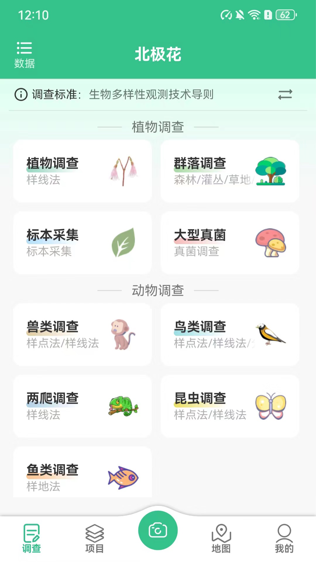 北极花生物调查