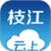 云上枝江