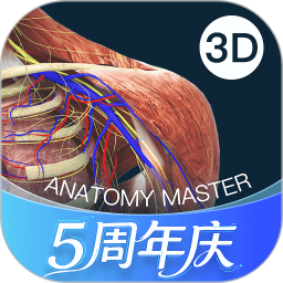 解剖大师