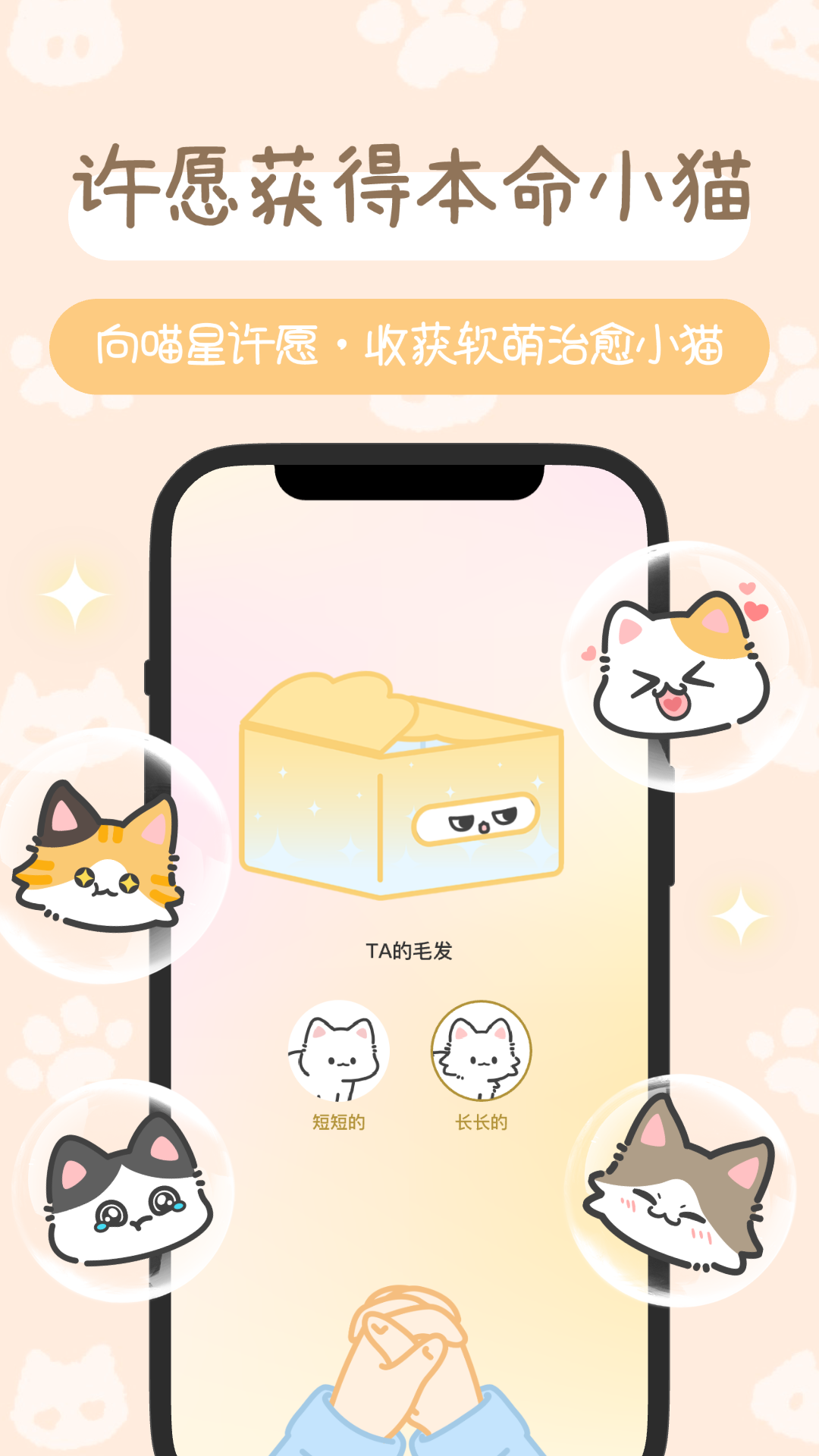 陪宠