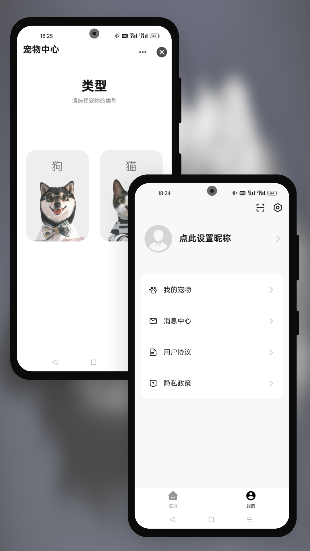派兮宠物
