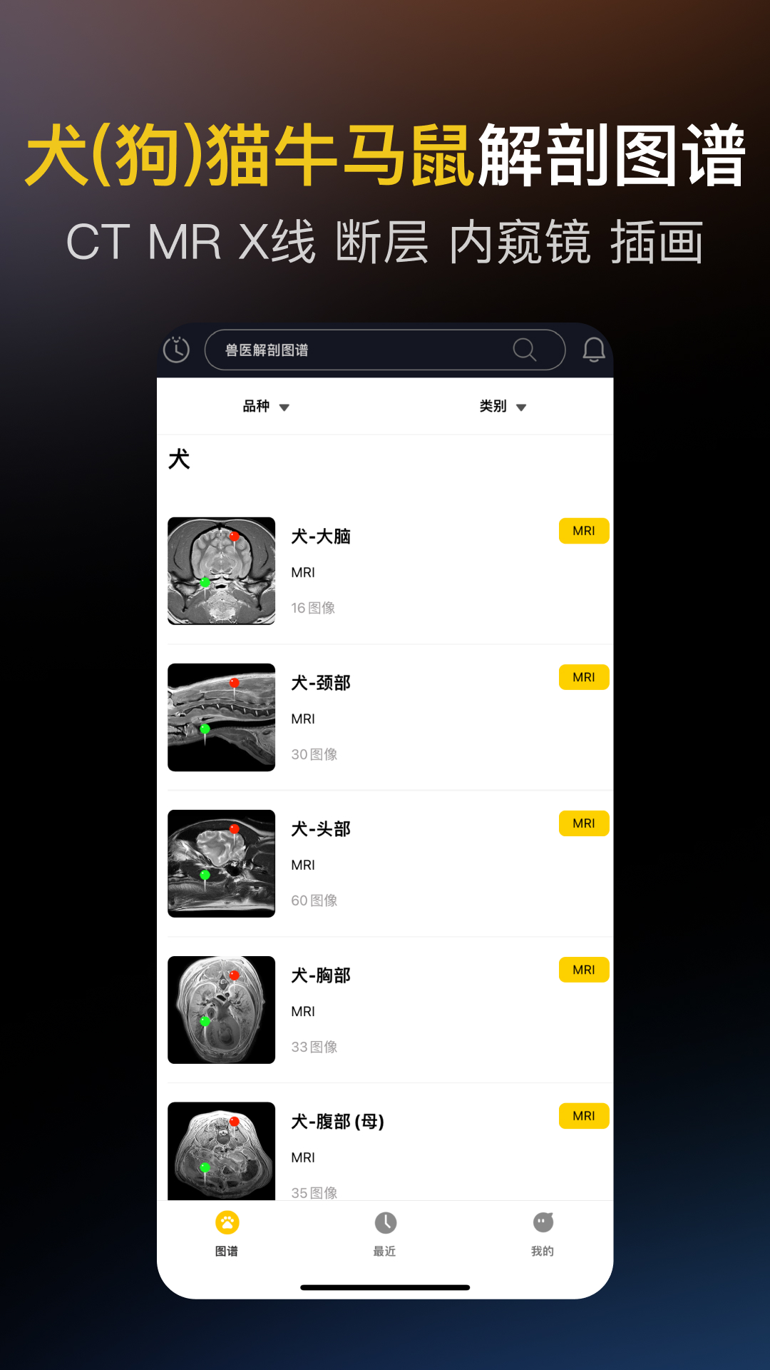兽医解剖图谱