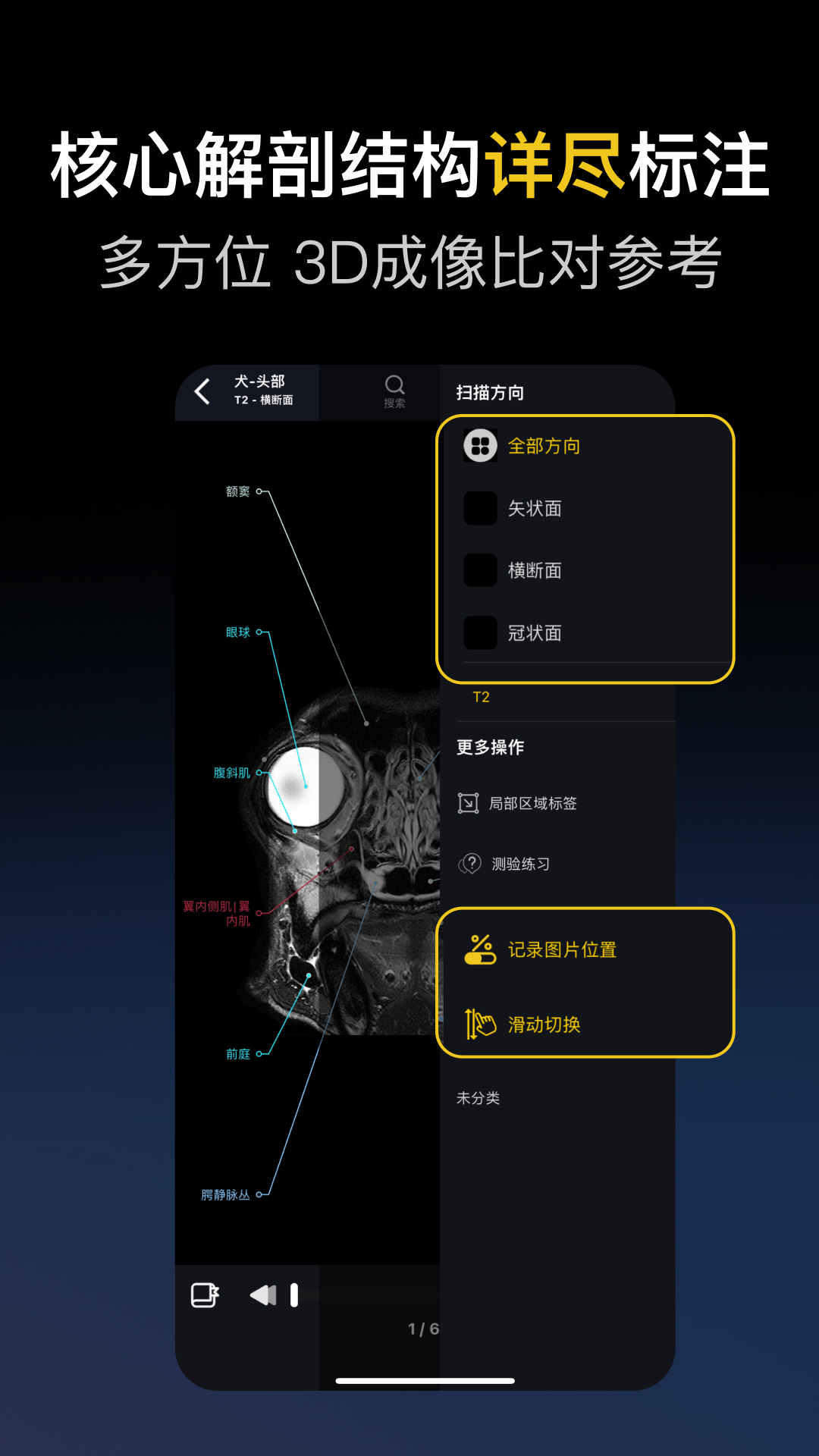 兽医解剖图谱
