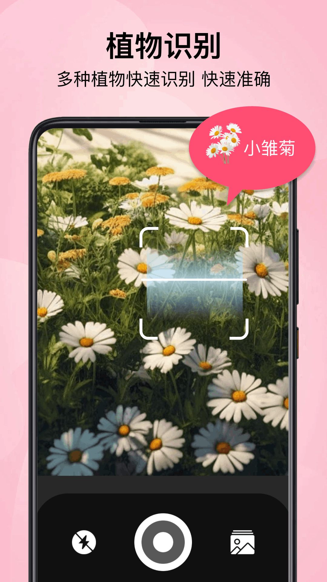 小园丁