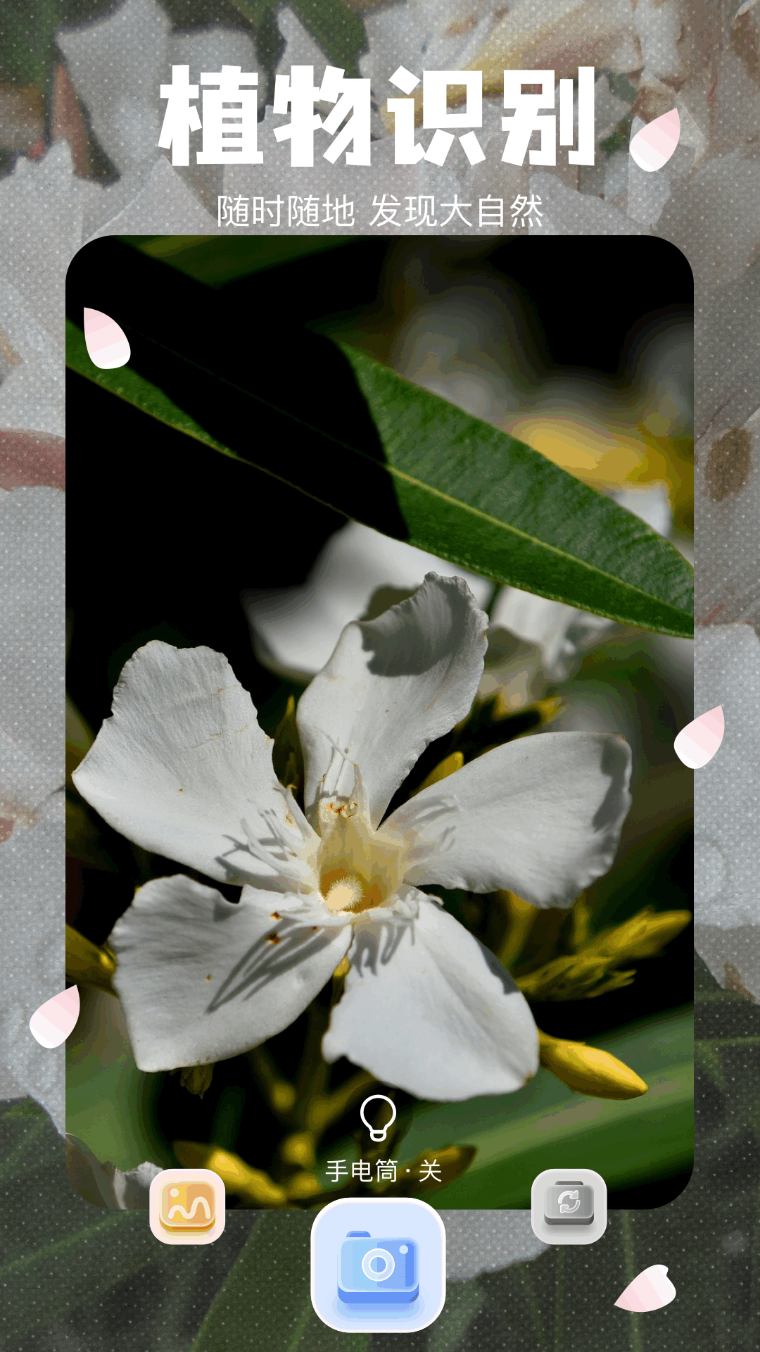 拍照识植物电脑版截图