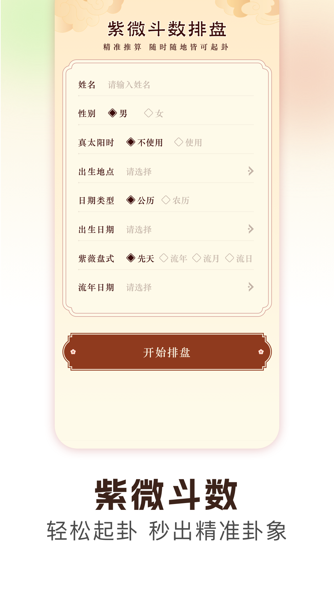 梅花易数排盘电脑版截图