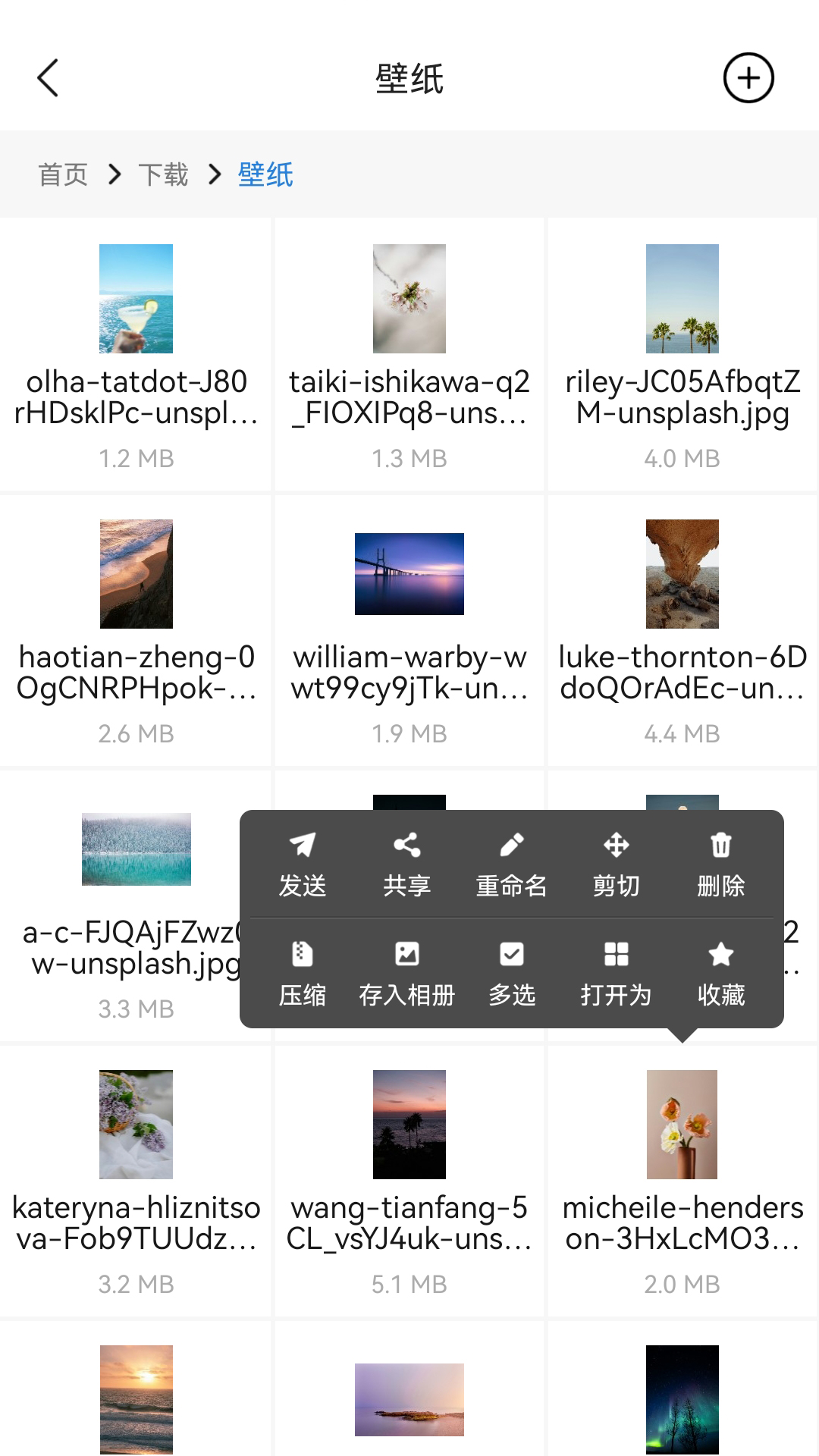 瞳环文件管家电脑版截图