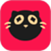 猫爪