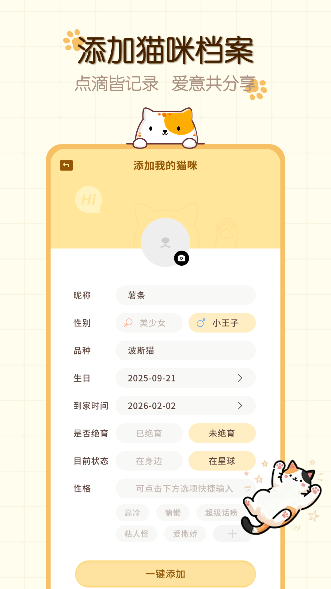 猫咪语言电脑版截图