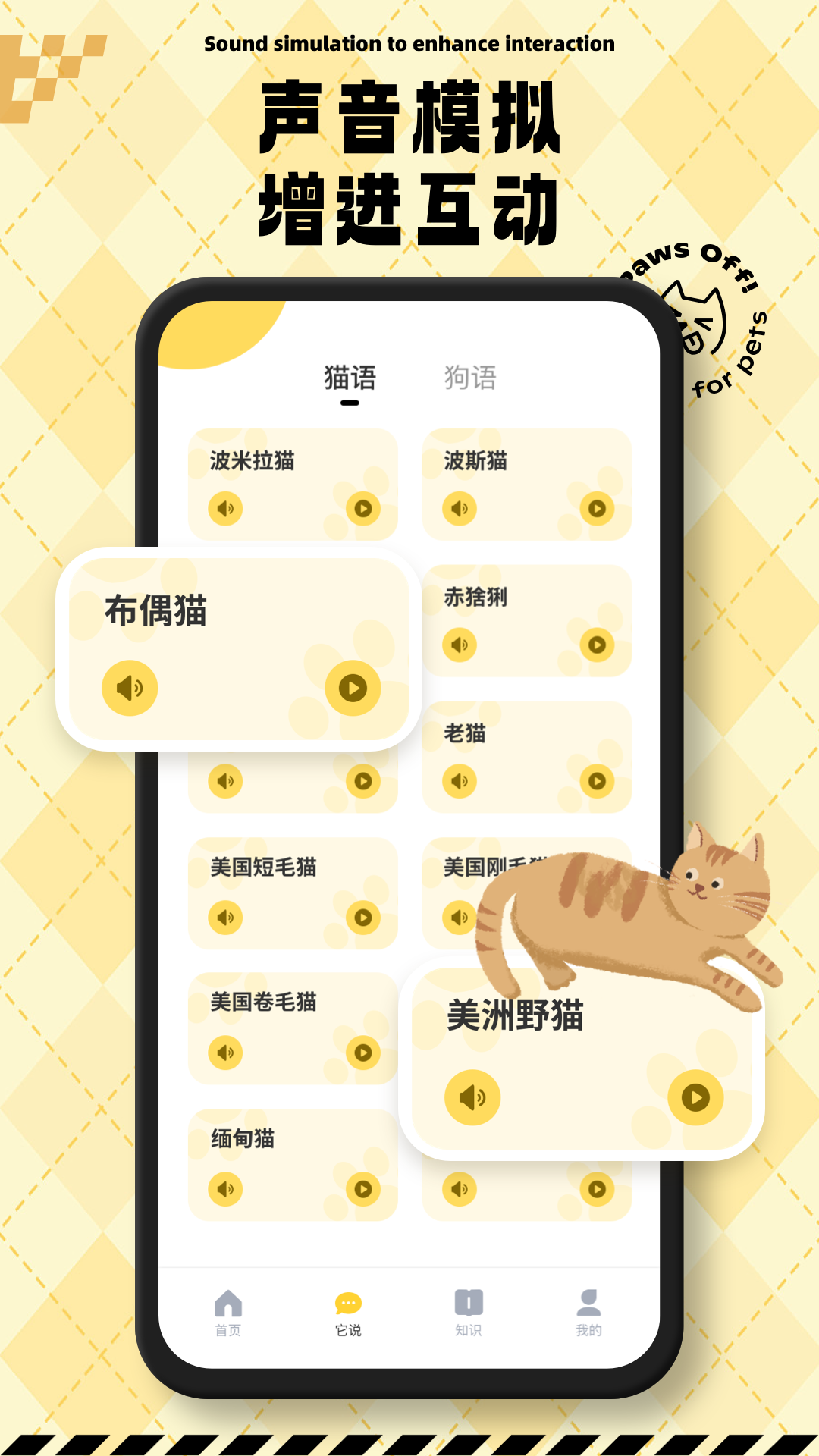 猫狗翻译交流通