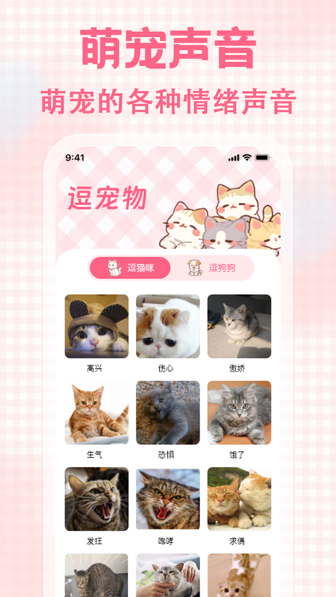 猫狗宠物对话电脑版截图