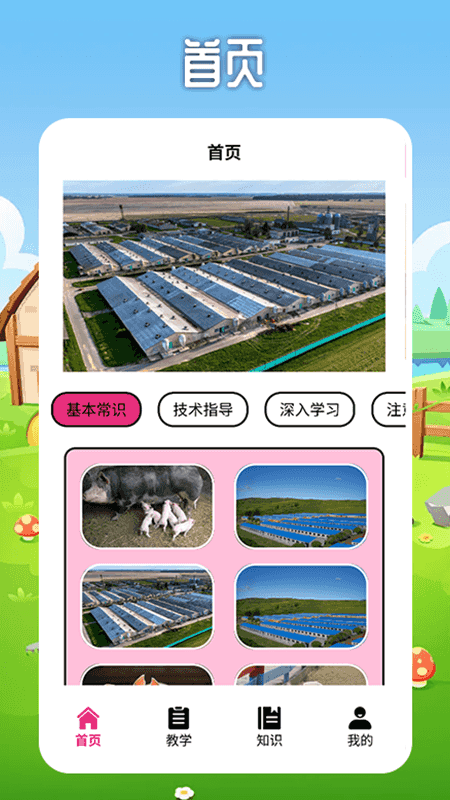 小小养殖猪场