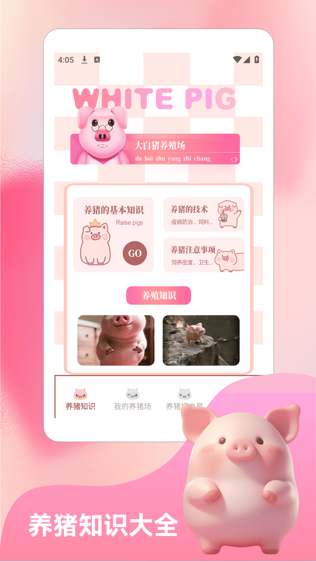 挪猪大挑战