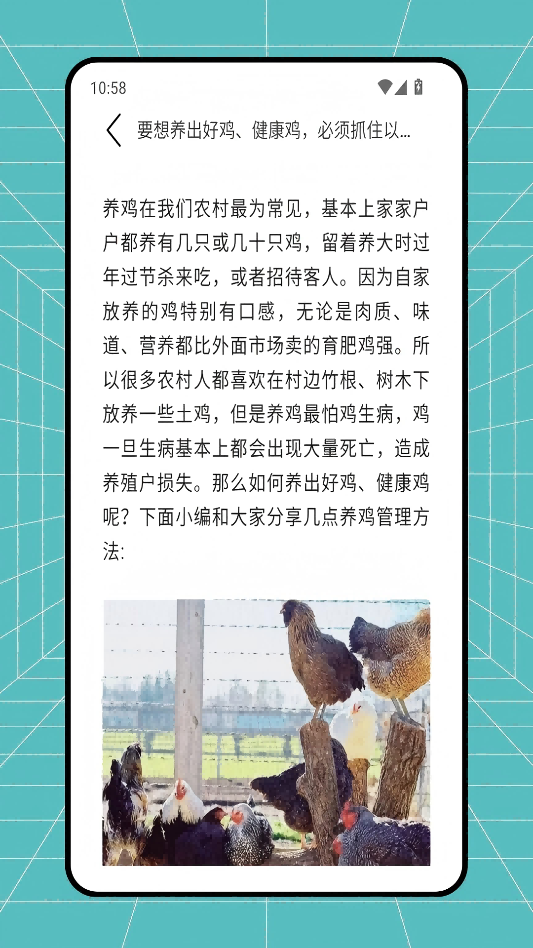 农资配