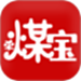 荣煤宝