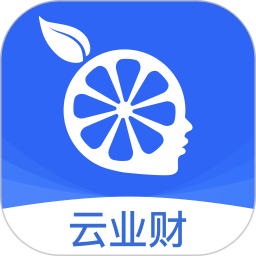 柠檬云业财电脑版